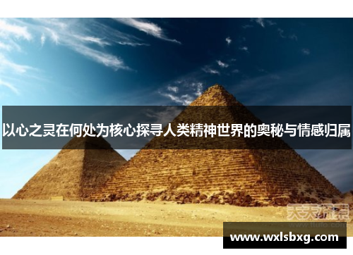 以心之灵在何处为核心探寻人类精神世界的奥秘与情感归属