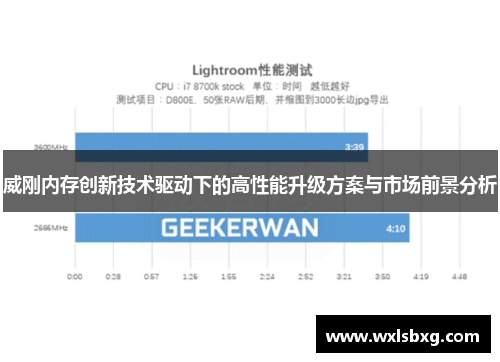 威刚内存创新技术驱动下的高性能升级方案与市场前景分析
