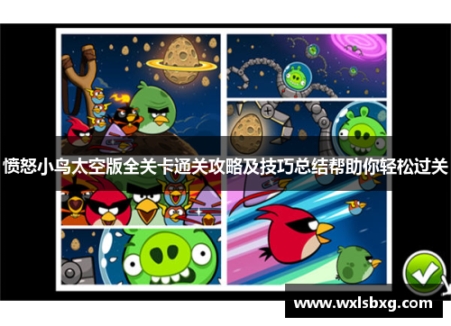 愤怒小鸟太空版全关卡通关攻略及技巧总结帮助你轻松过关