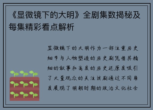 《显微镜下的大明》全剧集数揭秘及每集精彩看点解析